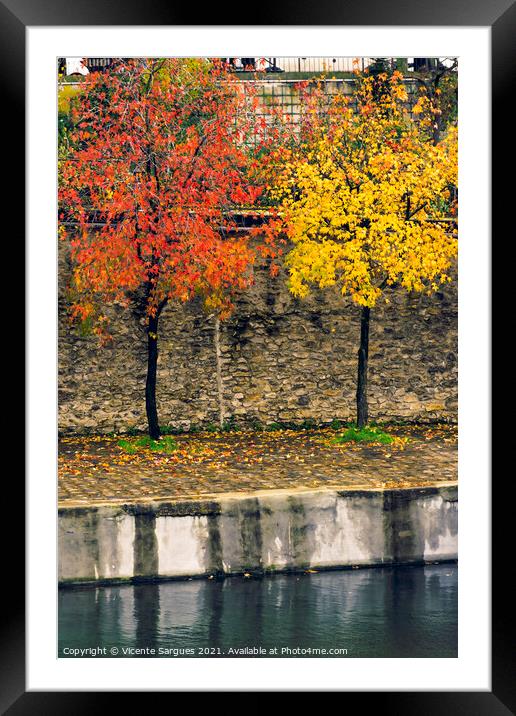 Autumn colors on trees Framed Mounted Print by Vicente Sargues