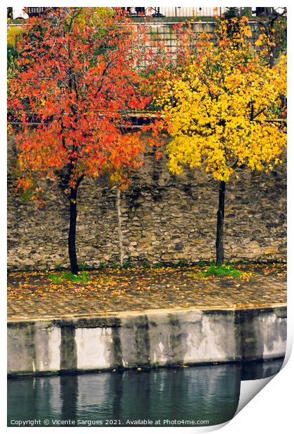 Autumn colors on trees Print by Vicente Sargues