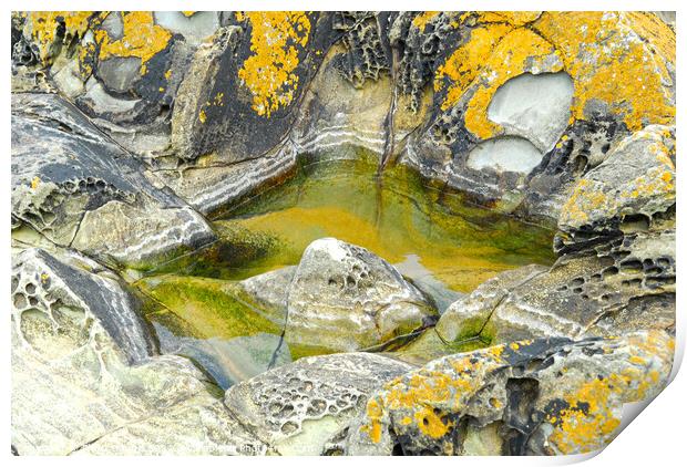 Pool in the rocks Print by Philip Gough
