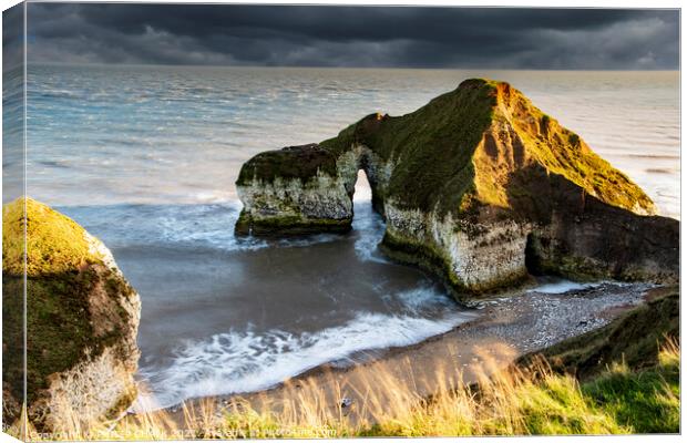 The drinking Dinosaur at Flamborough head 403  Canvas Print by PHILIP CHALK