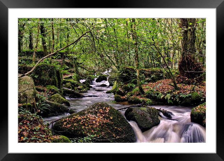 A woodland stream ,in the Kennall Vale Nature Rese Framed Mounted Print by kathy white