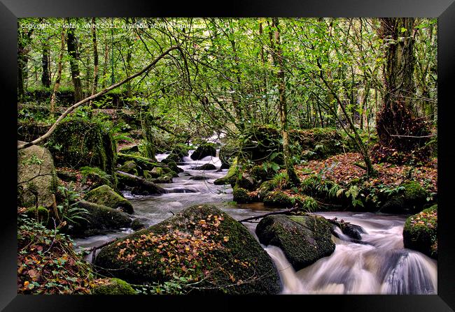 A woodland stream ,in the Kennall Vale Nature Rese Framed Print by kathy white