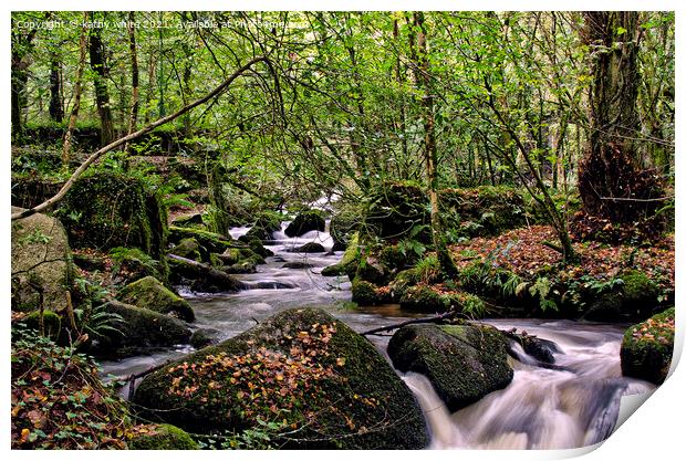 A woodland stream ,in the Kennall Vale Nature Rese Print by kathy white