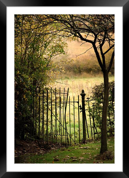 An old secret gate Framed Mounted Print by