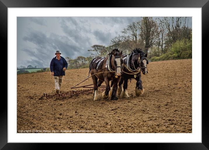 Horse Drawn Harrow  Framed Mounted Print by Brian Pierce