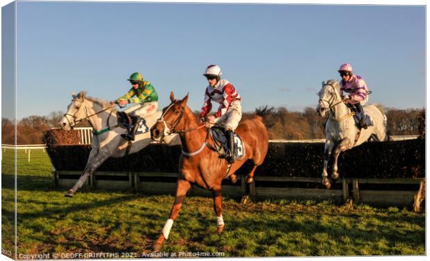 Horse racing at Doncaster  Canvas Print by GEOFF GRIFFITHS