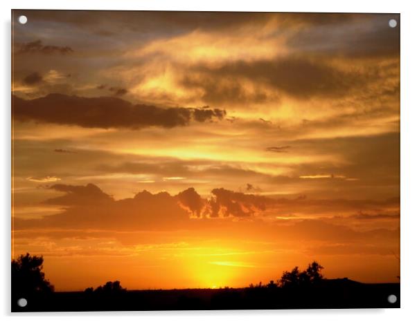 California Sunset Acrylic by Stephanie Moore