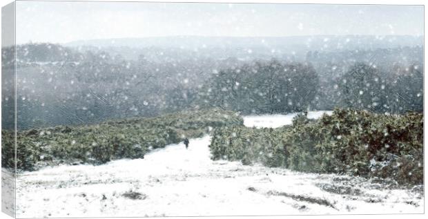 A Winters Walk  Canvas Print by Judith Stewart