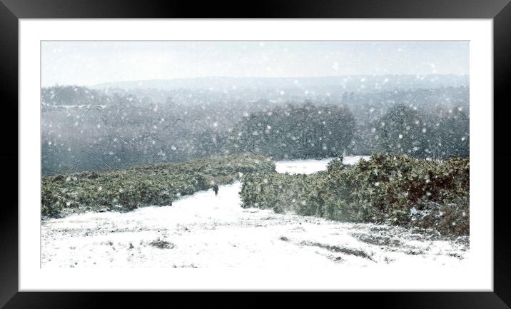 A Winters Walk  Framed Mounted Print by Judith Stewart