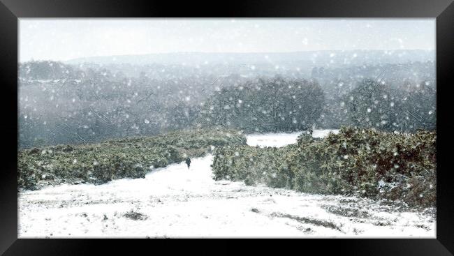 A Winters Walk  Framed Print by Judith Stewart