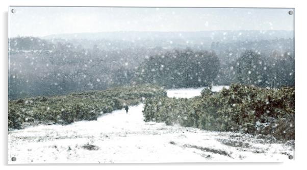 A Winters Walk  Acrylic by Judith Stewart