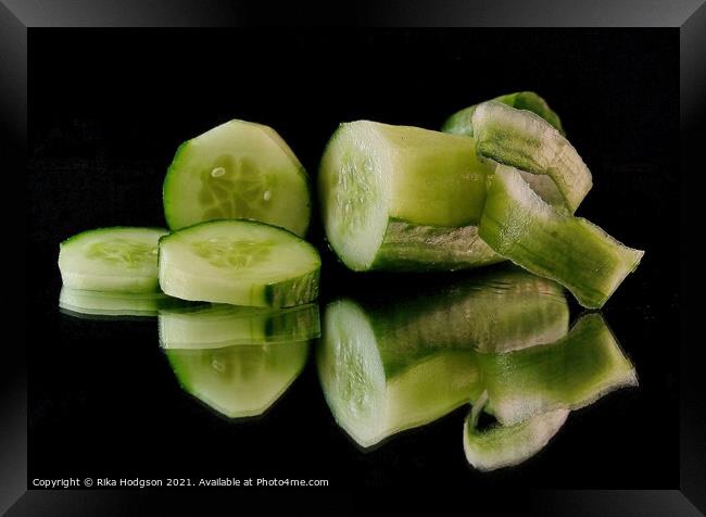 Fresh Cucumber slices, salad   Framed Print by Rika Hodgson