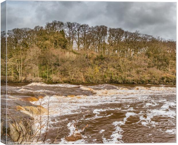 River Tees Torrent Canvas Print by Richard Laidler
