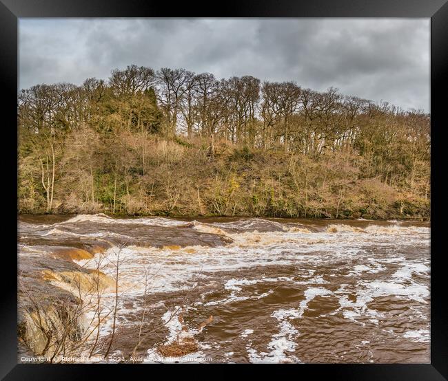 River Tees Torrent Framed Print by Richard Laidler