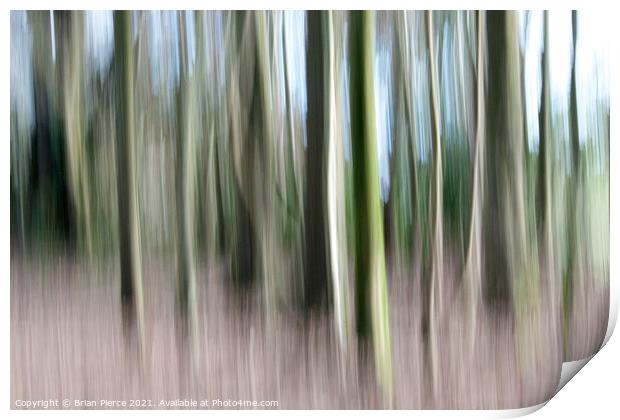 Trees (Intentional Camera Movement) Print by Brian Pierce