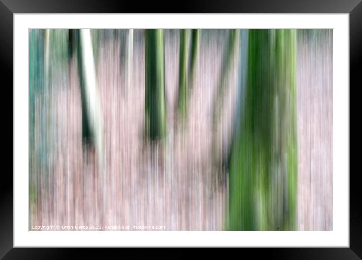 Trees (Intentional Camera Movement)  Framed Mounted Print by Brian Pierce