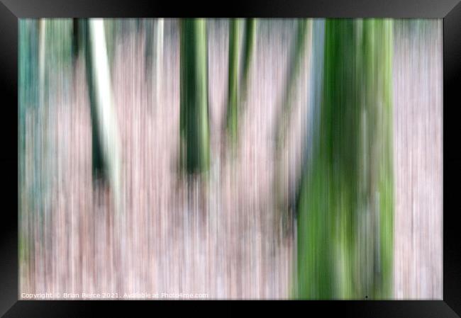Trees (Intentional Camera Movement)  Framed Print by Brian Pierce