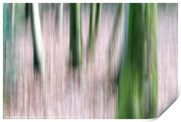 Trees (Intentional Camera Movement)  Print by Brian Pierce