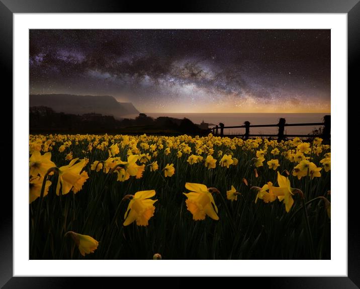 Sidmouth Daffodils and The Milky Way Framed Mounted Print by David Neighbour