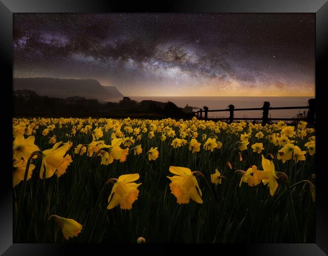 Sidmouth Daffodils and The Milky Way Framed Print by David Neighbour