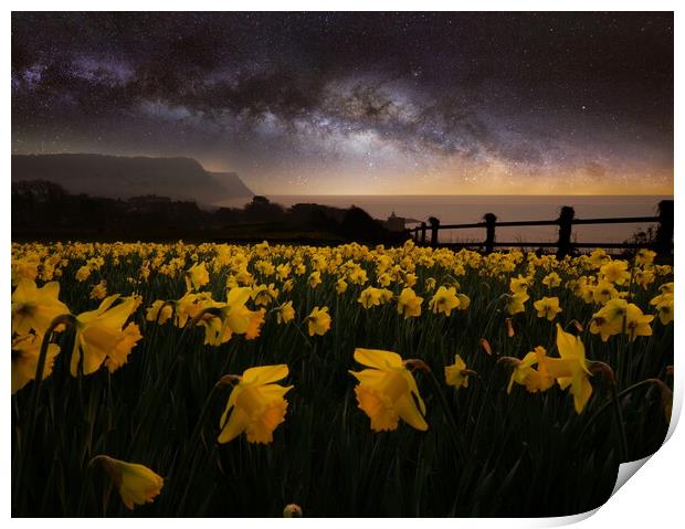 Sidmouth Daffodils and The Milky Way Print by David Neighbour