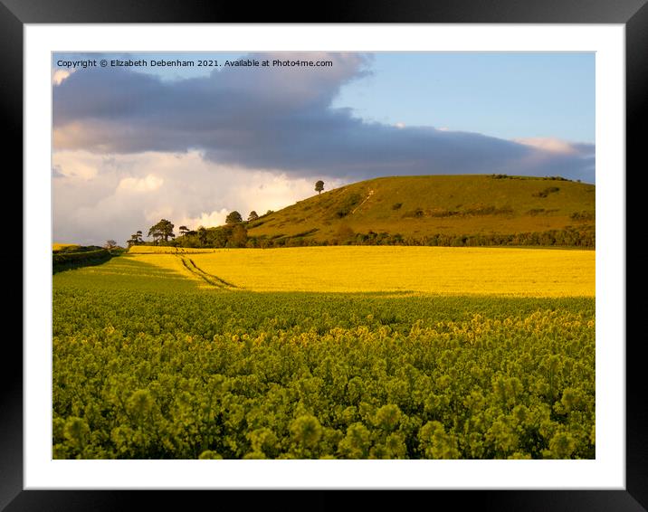 Ivinghoe Beacon and yellow rapeseed field Framed Mounted Print by Elizabeth Debenham