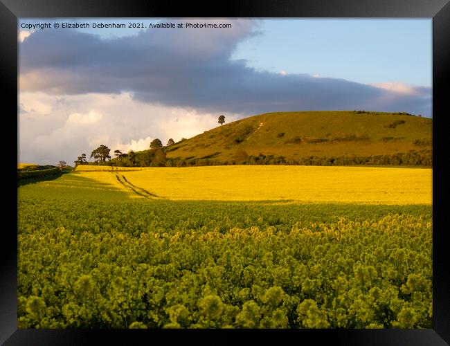 Ivinghoe Beacon and yellow rapeseed field Framed Print by Elizabeth Debenham