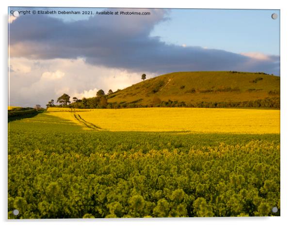 Ivinghoe Beacon and yellow rapeseed field Acrylic by Elizabeth Debenham