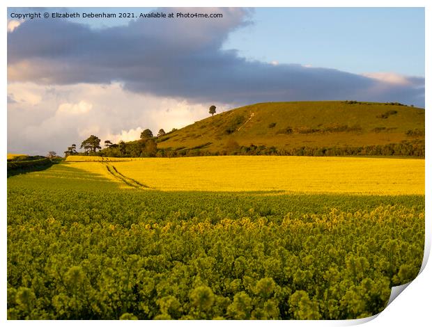 Ivinghoe Beacon and yellow rapeseed field Print by Elizabeth Debenham