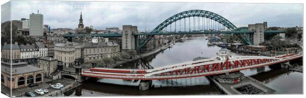Newcastle panoramic  Canvas Print by Aimie Burley