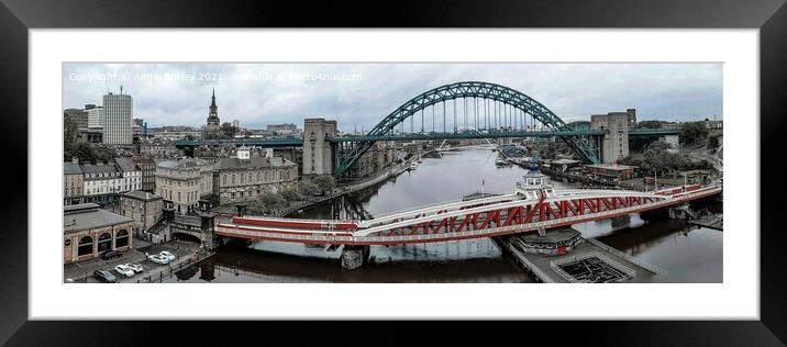Newcastle panoramic  Framed Mounted Print by Aimie Burley