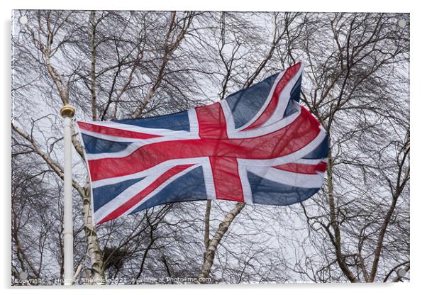 Union Jack Acrylic by Heather Sheldrick