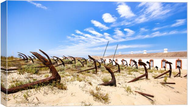 Anchor Cemetery Praia do Barril Canvas Print by Wight Landscapes