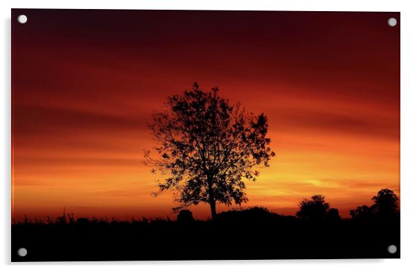 sunrise Acrylic by Simon Johnson