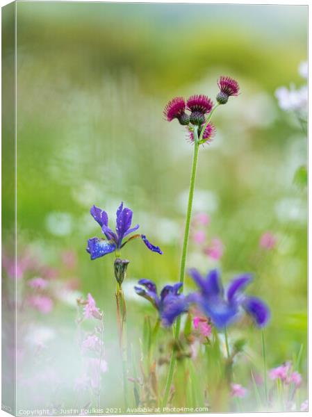 Wildflowers at the Garden House Canvas Print by Justin Foulkes