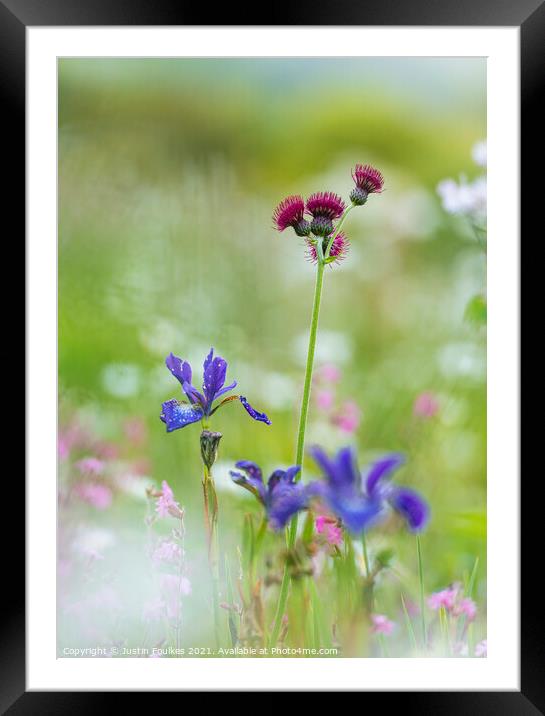 Wildflowers at the Garden House Framed Mounted Print by Justin Foulkes