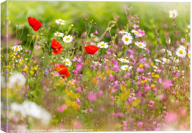 Wildflower Meadow Canvas Print by Justin Foulkes