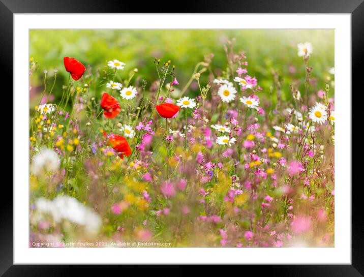 Wildflower Meadow Framed Mounted Print by Justin Foulkes