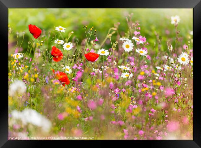 Wildflower Meadow Framed Print by Justin Foulkes