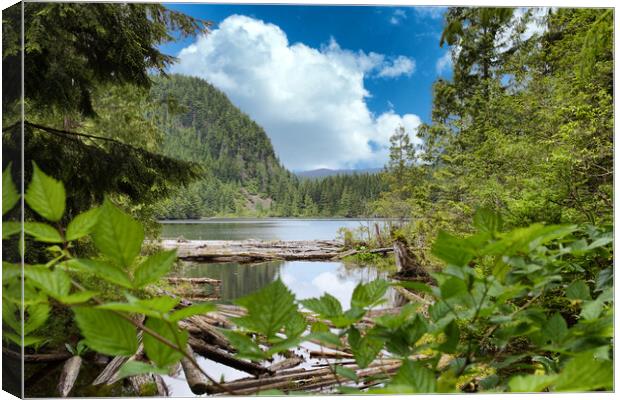 Mountain Lake in the wilderness of Washington Stat Canvas Print by Thomas Baker