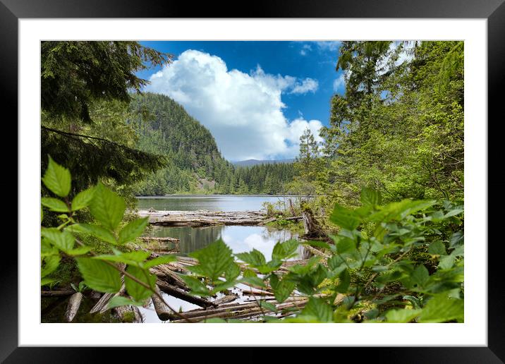 Mountain Lake in the wilderness of Washington Stat Framed Mounted Print by Thomas Baker