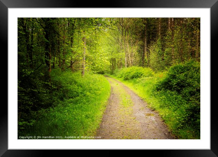 The Forest Path Framed Mounted Print by jim Hamilton