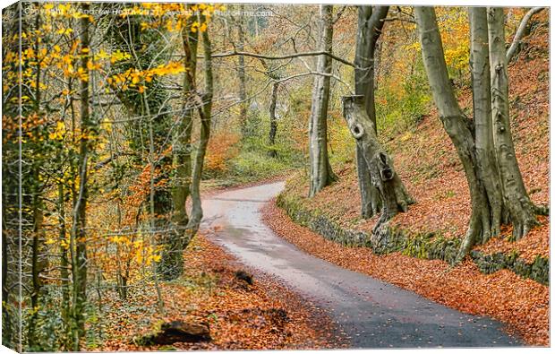 Cheddleton Lane Staffordshire  Canvas Print by Andrew Heath