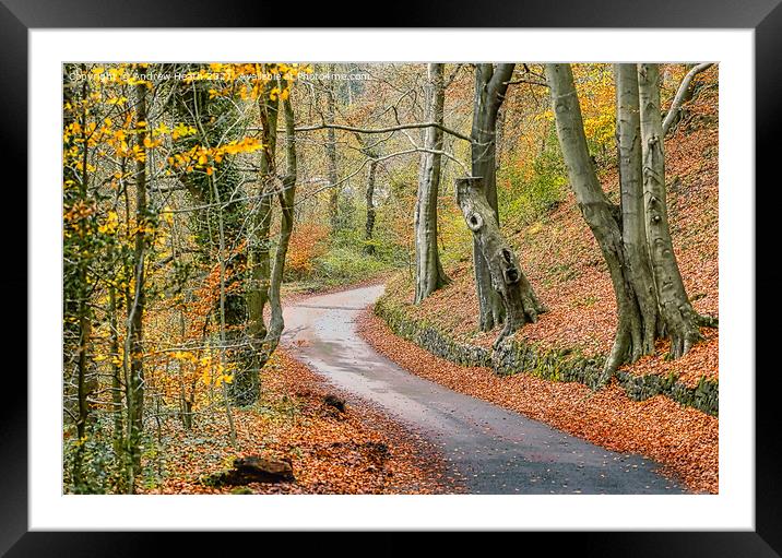 Cheddleton Lane Staffordshire  Framed Mounted Print by Andrew Heath