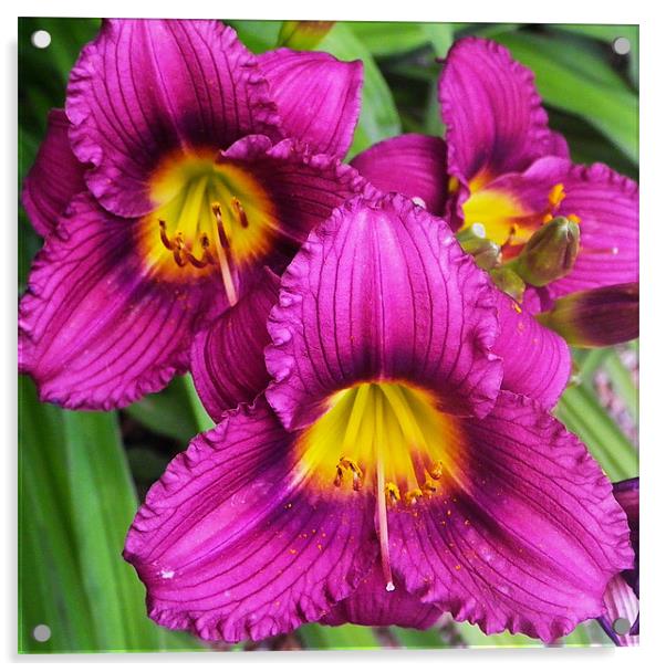 Happy trio flowers in Purple and gold Acrylic by Patti Barrett
