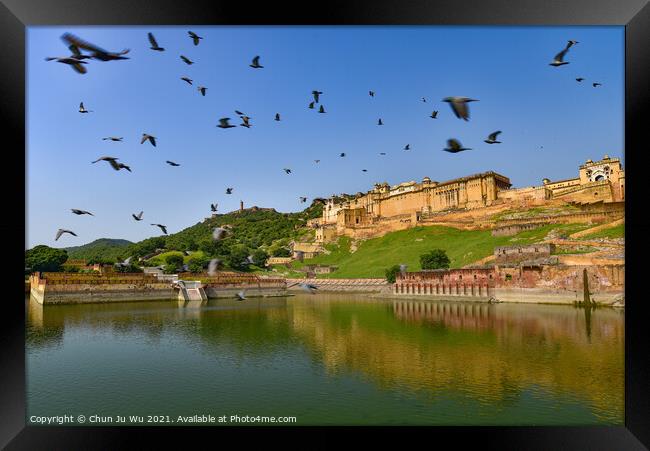 A flock of birds flying in front of Amer Fort in Jaipur, India Framed Print by Chun Ju Wu
