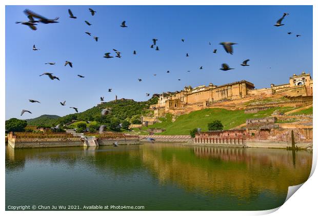 A flock of birds flying in front of Amer Fort in Jaipur, India Print by Chun Ju Wu