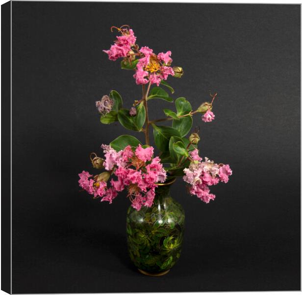  Pink Lantana Flowers in a Vase.  Canvas Print by Geoff Childs