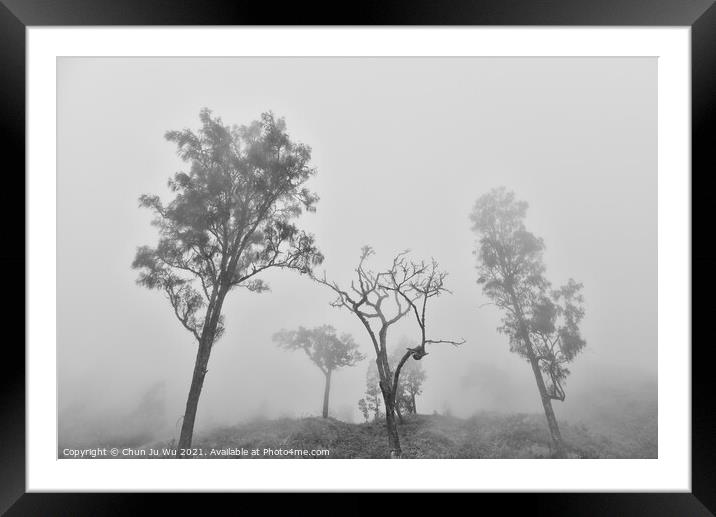 Trees in fog black and white Framed Mounted Print by Chun Ju Wu