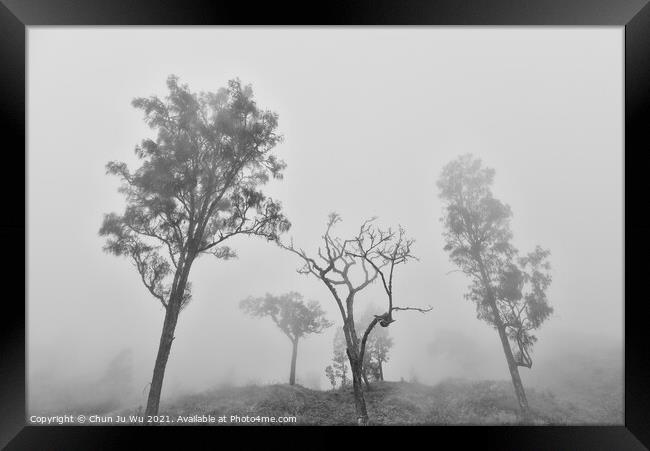 Trees in fog black and white Framed Print by Chun Ju Wu